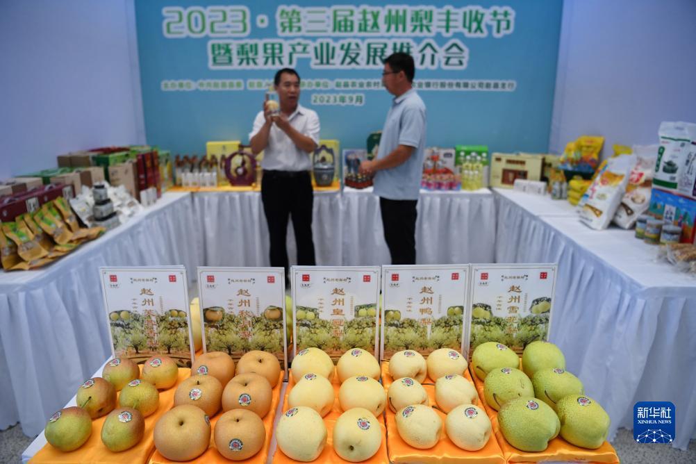 宝马娱乐在线1356